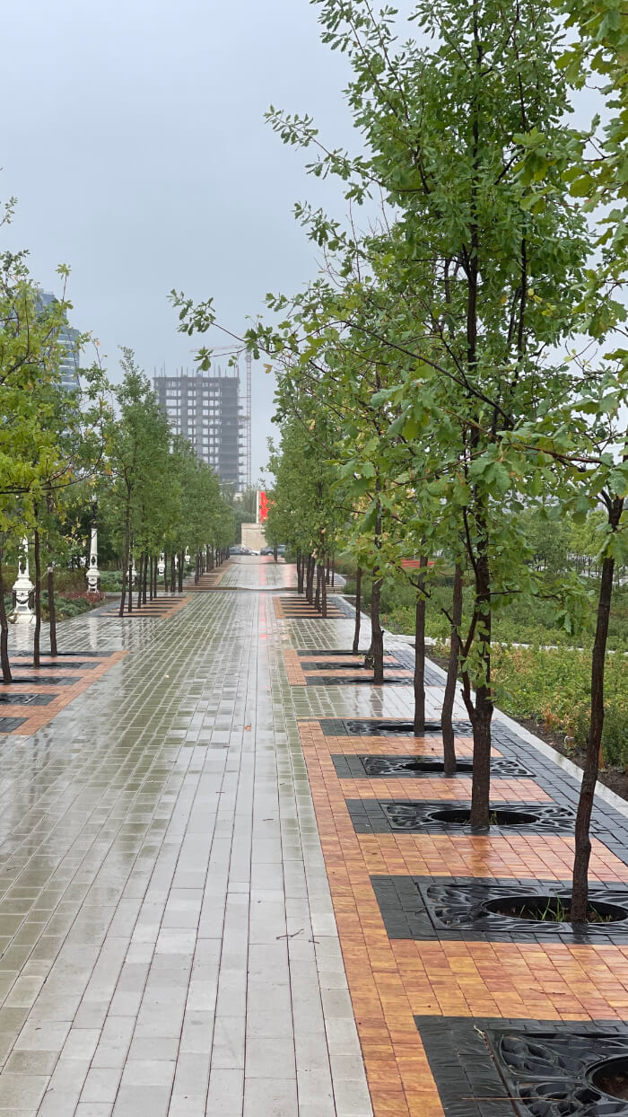 Приствольная решетка для дерева ZKING CRUST 1.2х1.2м Черная в Владикавказе фото