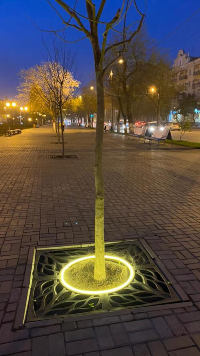 Приствольная решетка для дерева ZKING CRUST 1.2х1.2м Черная в Владикавказе фото